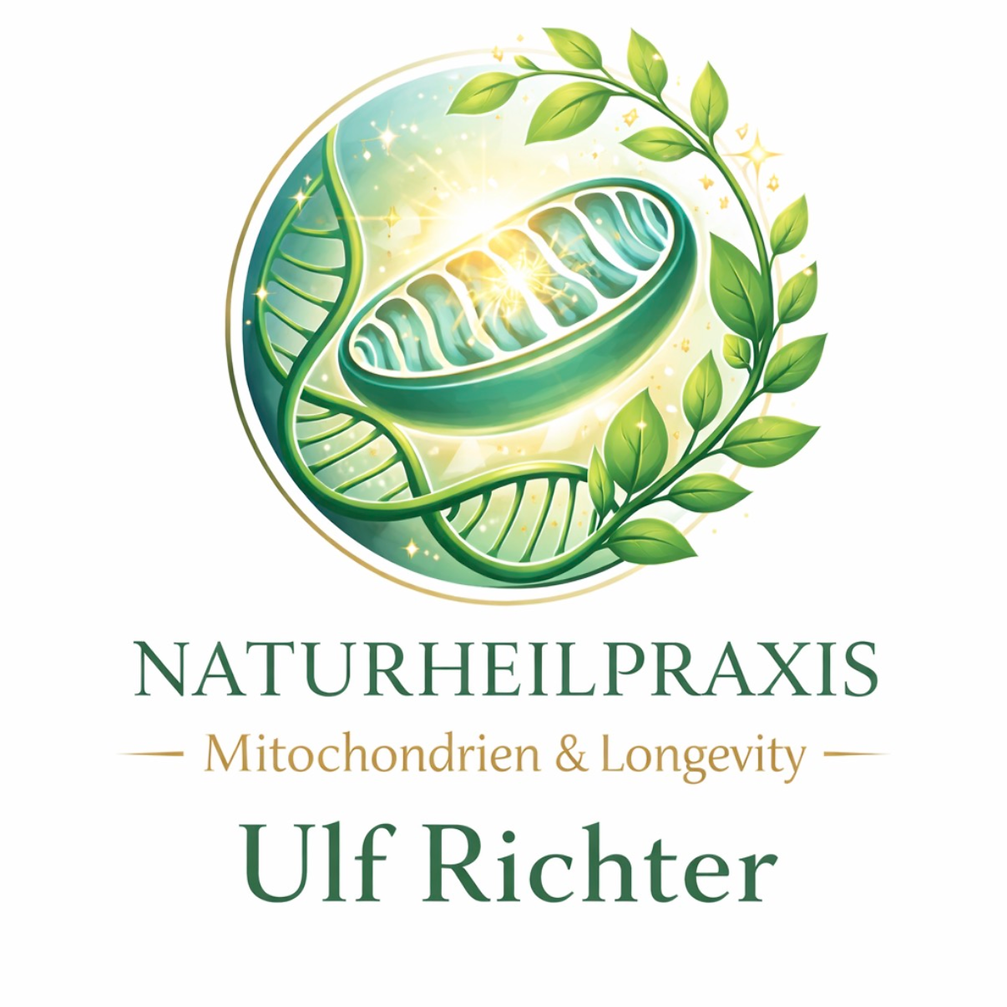Naturheilpraxis Ulf Richter – Mitochondrien & Longevity